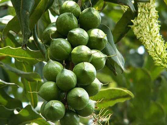 微信图片_20250319163944.png 微信图片_20250319163944.png