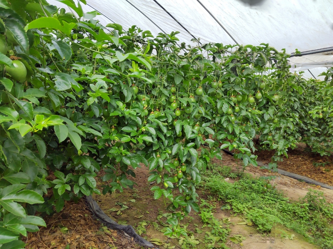 微信图片_20250319163950.jpg 微信图片_20250319163950.jpg