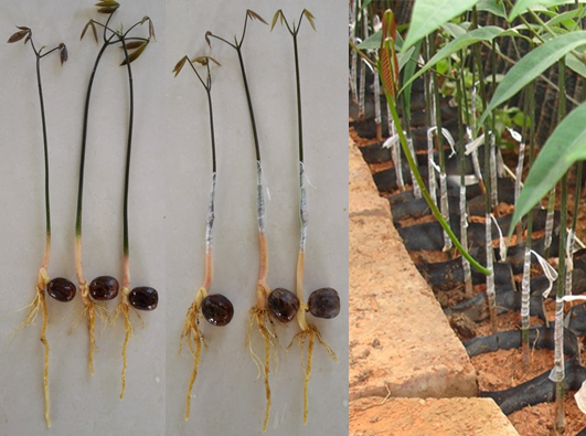 1742972547819569.png 22.png