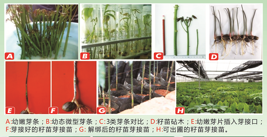 1742972789270487.png image.png