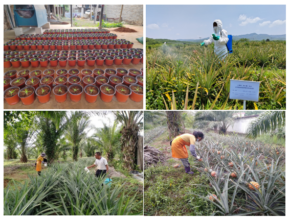 1747388001879297.png image.png