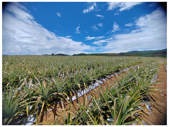 1747388047774838.png image.png