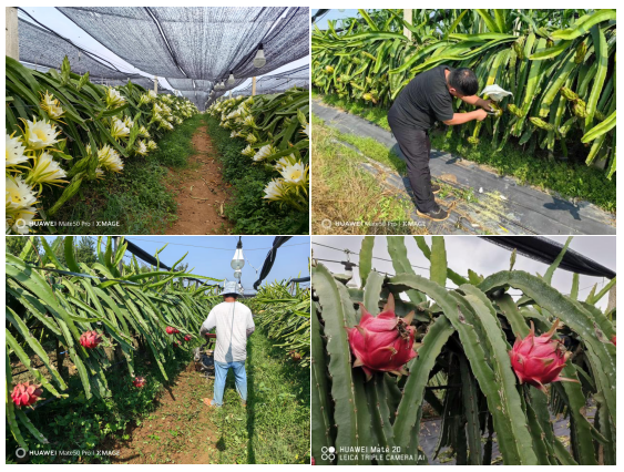 1748576168149141.png image.png