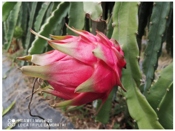 1748576193135111.png image.png