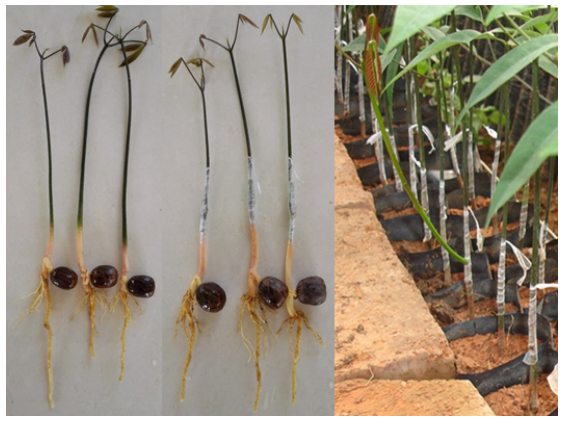 1754553745183317.png image.png