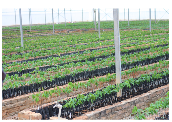 1754553775986433.png image.png