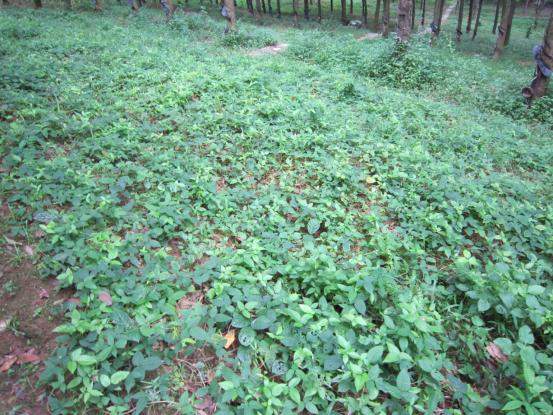 1755827464815467.png image.png