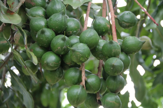 1758264864904493.png image.png