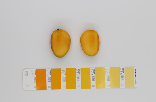 1758854840689815.png image.png