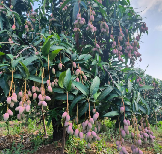 1758854875577253.png image.png