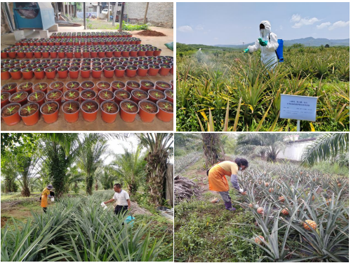 1759217783962077.png image.png