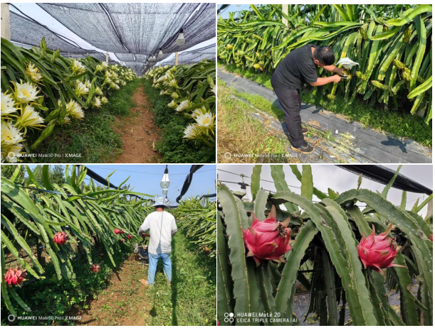 1760684508335317.png image.png