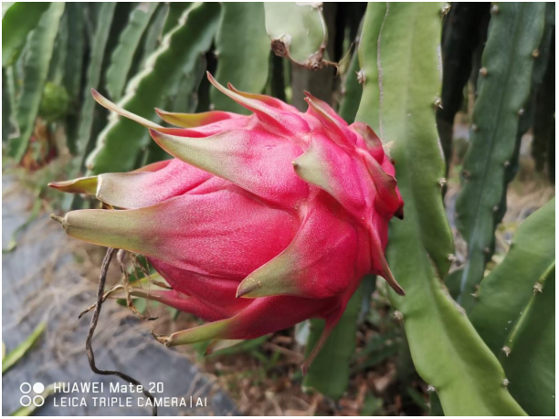 1760684529604173.png image.png